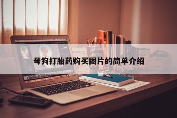 母狗打胎药购买图片的简单介绍